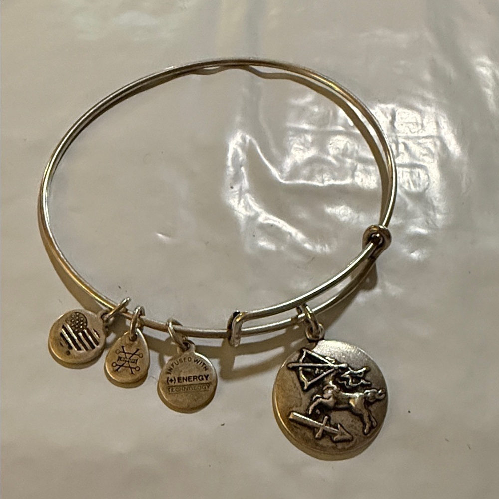 Alex and Ani Gold Sagittarius Charm Bracelet, 2017